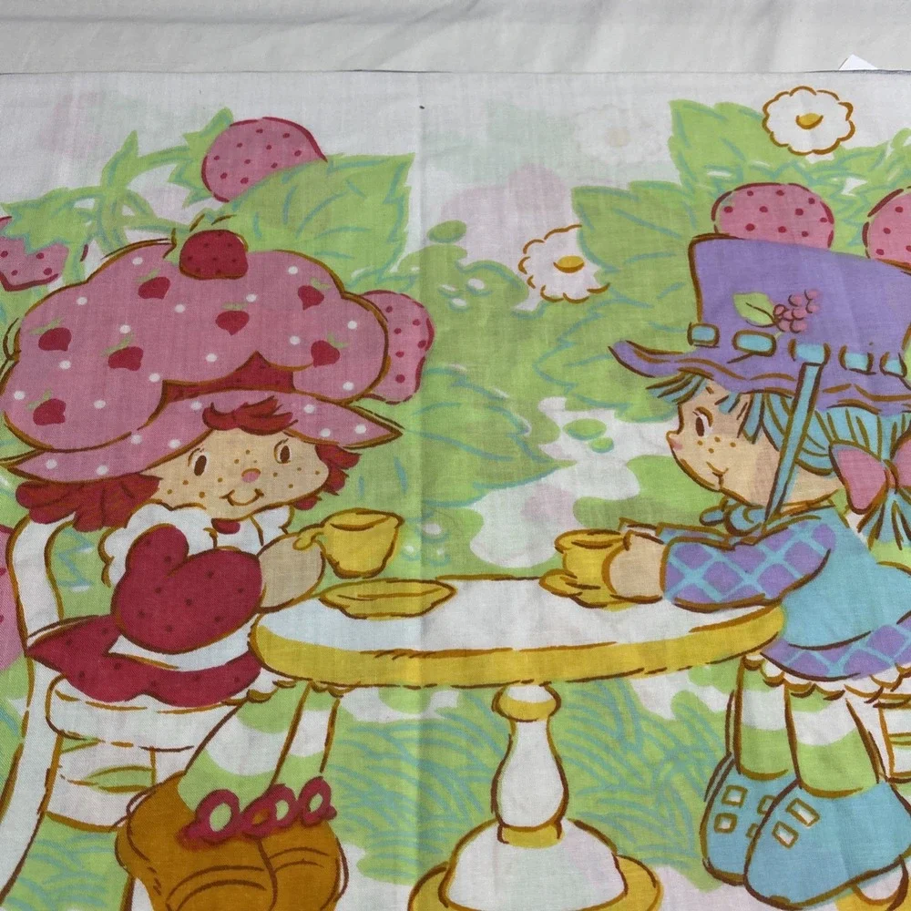 Strawberry Shortcake Pillowcase 1980 American Greetings Vintage Blueberry Muffin